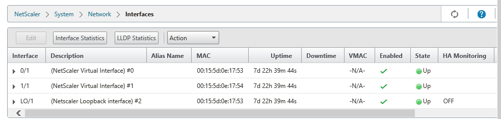 Netscaler Interface